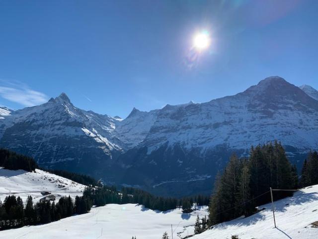 Apartamento Grindelwald-Sunneblick Exterior foto