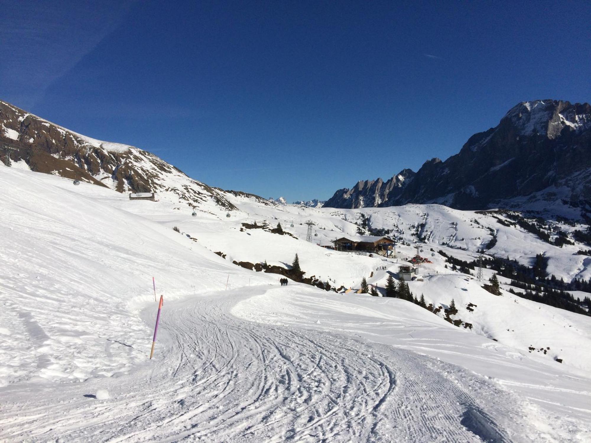 Apartamento Grindelwald-Sunneblick Exterior foto